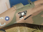 DSCF7491.JPG