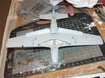 DSCF5036.JPG