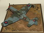 DSCF5084.JPG