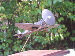 DSCF4774.JPG