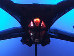 DSCF5158_crop.jpg