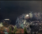 vlcsnap-2015-08-08-10h11m53s761.png