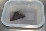 DSC 4758
