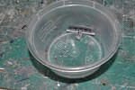 DSC 5527