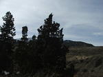 DSCF2487.JPG