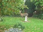 DSCF8025.JPG