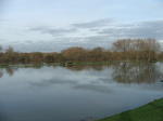 DSCF7134.JPG
