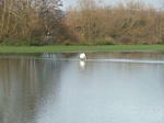 DSCF7140.JPG