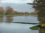 DSCF7141.JPG