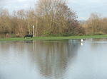 DSCF7142.JPG