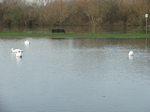 DSCF7143.JPG