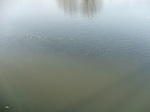 DSCF7144.JPG