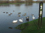 DSCF7145.JPG