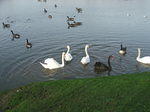 DSCF7147.JPG