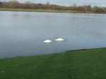 DSCF7149.JPG