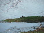 DSCF7150.JPG