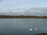 DSCF7151.JPG