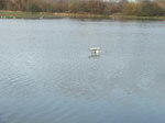 DSCF7152.JPG