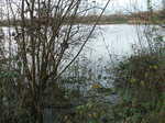 DSCF7154.JPG