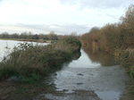 DSCF7155.JPG