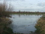 DSCF7156.JPG
