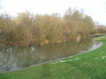 DSCF7157.JPG