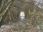 DSCF7161.JPG