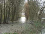 DSCF7162.JPG