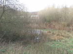 DSCF7164.JPG